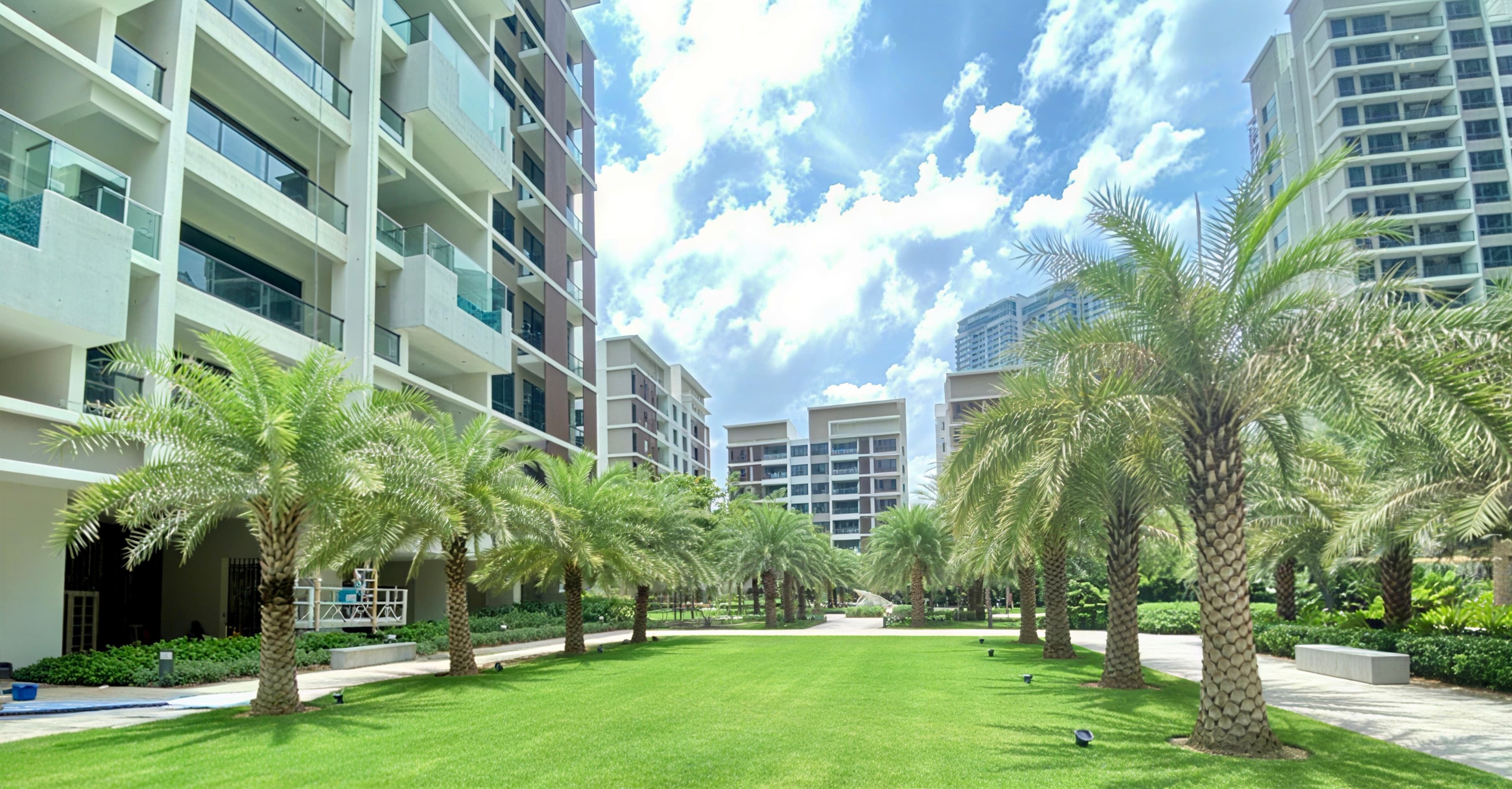 Project Image 8